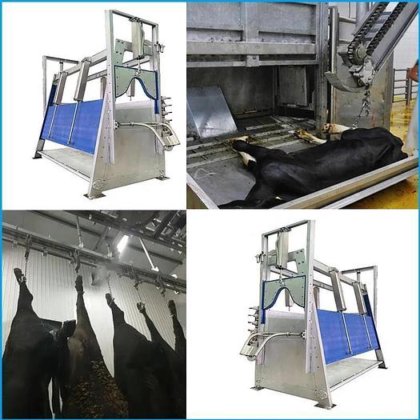 定制牛屠宰设备 牛屠宰场杀牛跺脚机 屠宰场设备价格