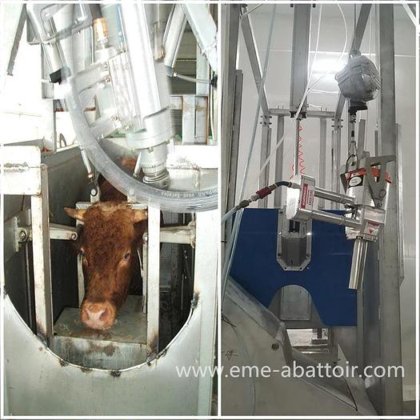 用于屠宰场设备的活牛剔骨箱肉类加工机 牛屠宰机