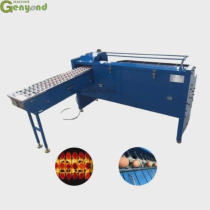 Automatic Egg Grading Machine Poultry