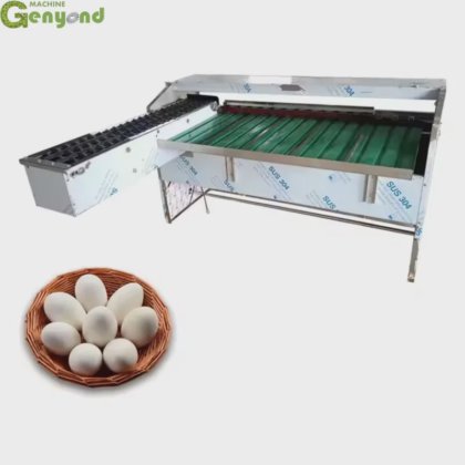 Automatic Egg Grading Machine Poultry