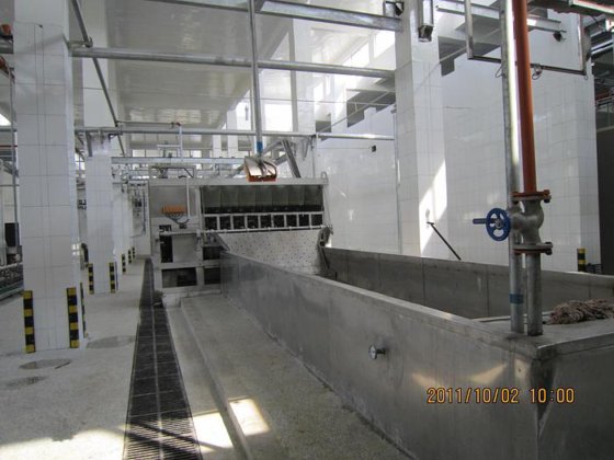 猪胴体电动烫毛池 猪屠宰场屠宰设备 屠宰场肉类加工厂设备