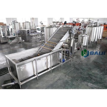 BAIJI 水果气泡清洗机设备