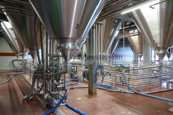 円筒円錐型発酵貯蔵タンク（CCT、7個）