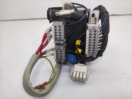 Multi-output toroidal power transformer