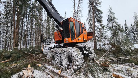 Timberpro 840 2017 TimberPro TF840C in Hearst, Ontario, Canada