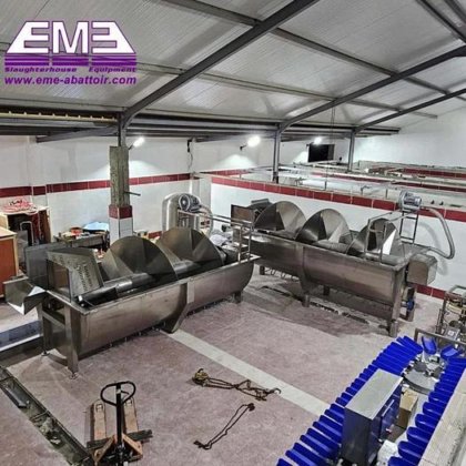 阿尔及利亚每小时屠宰 2000 只家禽的优质家禽设备 用于肉类加工厂的鸡屠宰设备