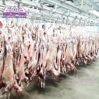 完整的绵羊屠宰场解决方案，屠宰设备的山羊胴体敷料输送轨道