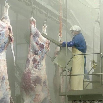 出厂价 牛屠宰场设备 半胴体带式分割锯 牛屠宰场牛屠宰设备