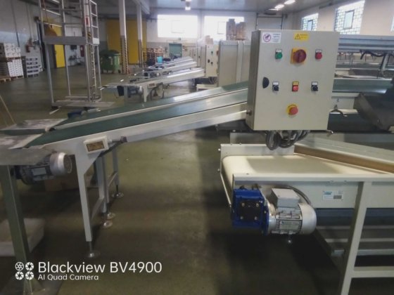 COMPAC TWO LINES SORTING LINE