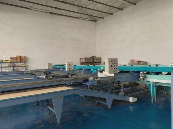 SAMMO 4 LINES KIWI SORTING