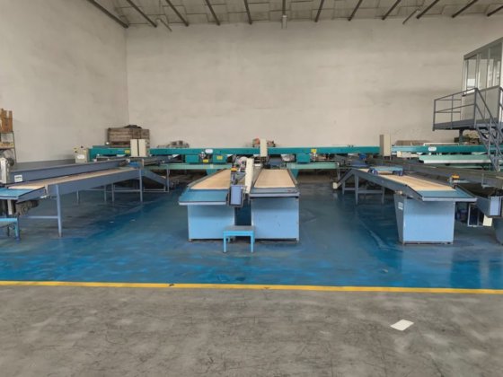 SAMMO 4 LINES KIWI SORTING