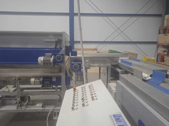 UNITEC 1 LINE AVOCADO GRADING