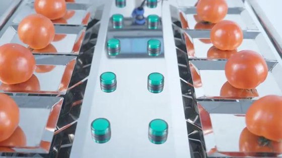 手動半自動 10 の 14 の頭部の組合せの重量を量る計量器、スケール機械