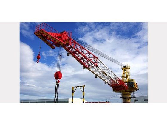 TSC MANUFACTURING Cranes - Offshore