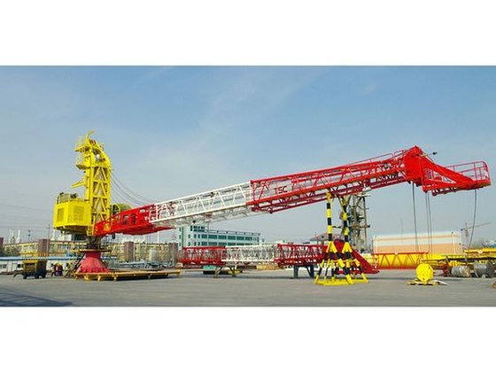 TSC MANUFACTURING Cranes - Offshore