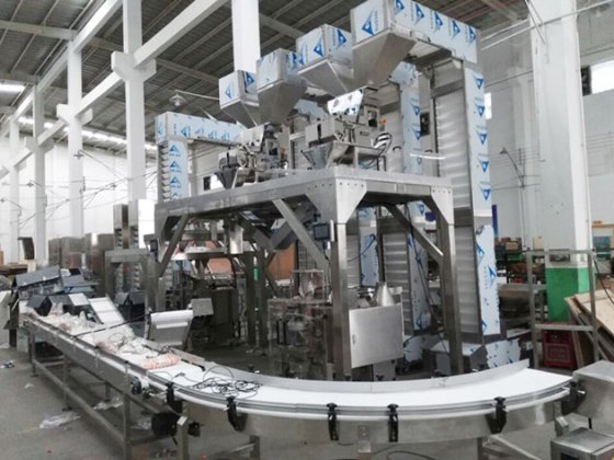 Z 型斗式提升机