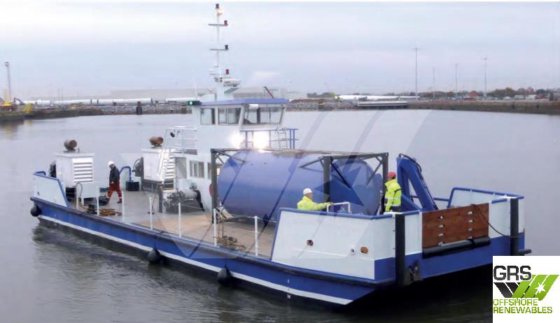 22mマルチキャット販売中