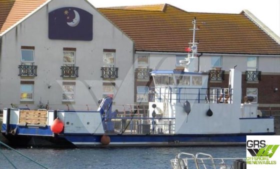 22mマルチキャット販売中