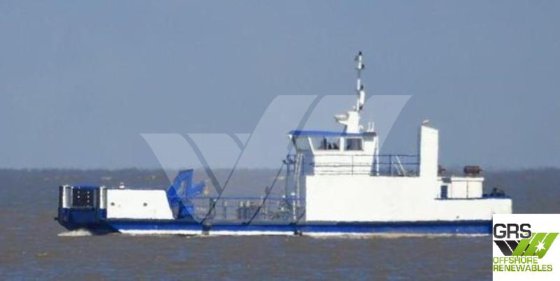 22mマルチキャット販売中