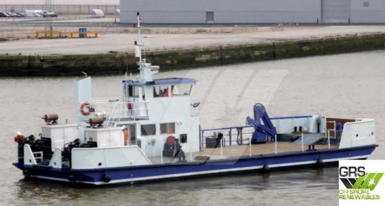 22mマルチキャット販売中