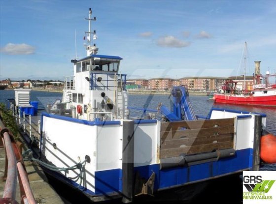 22mマルチキャット販売中