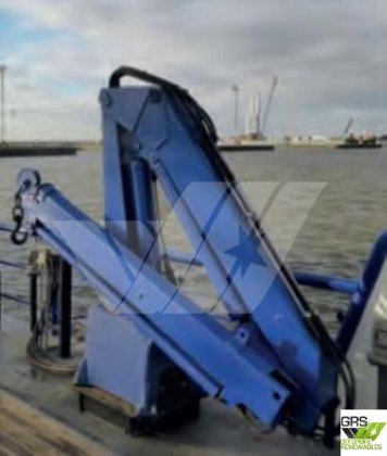 22mマルチキャット販売中