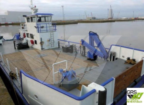 22mマルチキャット販売中