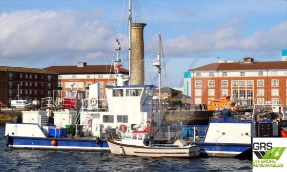 22mマルチキャット販売中