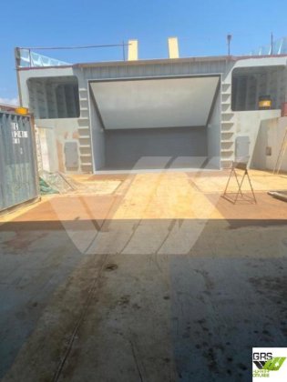 100米 载客量600人