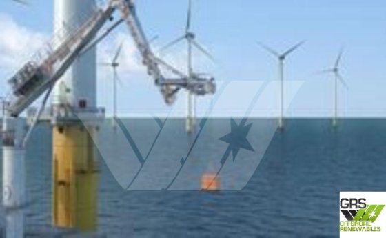 Crane_2T 运动补偿 / 起重机出售 /