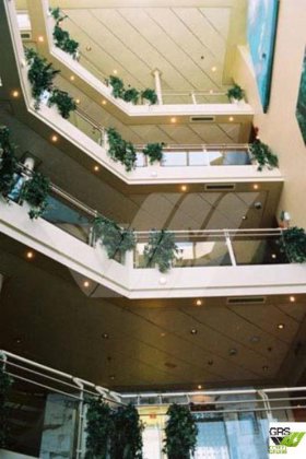 待售164米长、可容纳1076人的邮轮