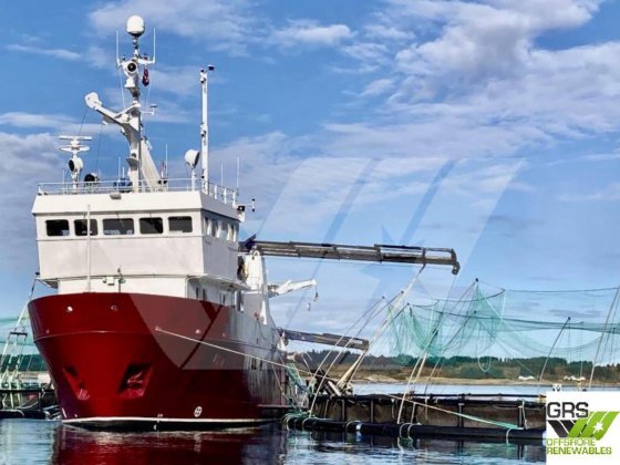 31mタグボート販売中