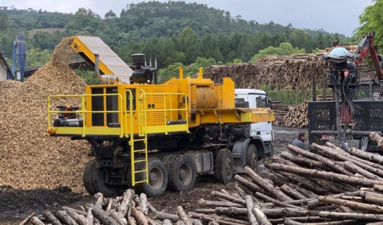 Lippel DRAGON model 900