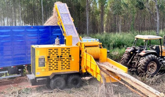 Lippel DRAGON model 900