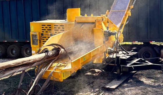 Lippel DRAGON model 900