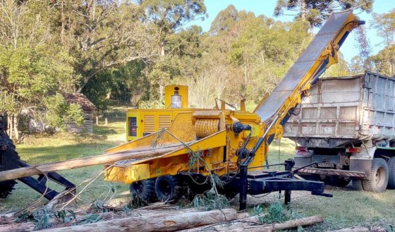 Lippel RAPTOR model 700