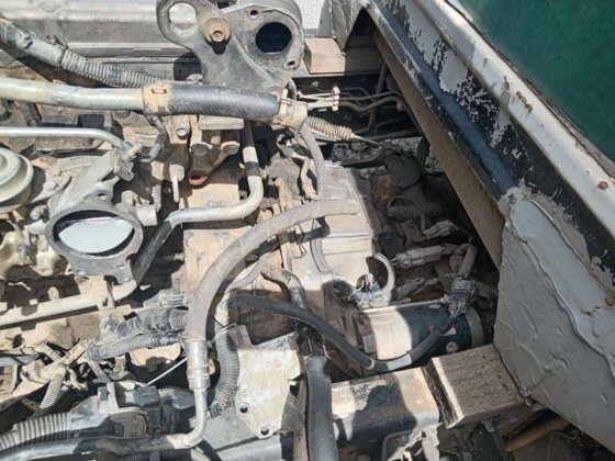 2010 年铃木欧兹??