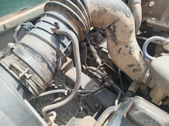 2010 年铃木欧兹??