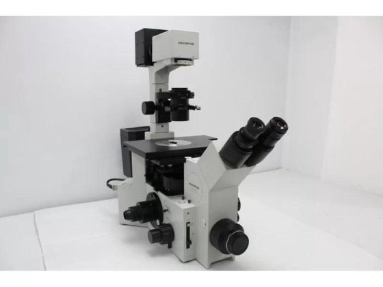 Olympus IX70 Inverted Fluorescence Microscope