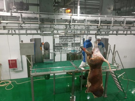 清真牛屠宰场机器 牛屠宰设备 用于牛肉屠宰场肉类加工机械的工艺输送轨道