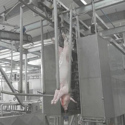 生猪屠宰场设备生猪整只胴体清洗机屠宰设备农场生猪屠宰场设备