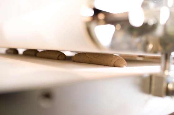 BackTech SAM PREMIUMLINE