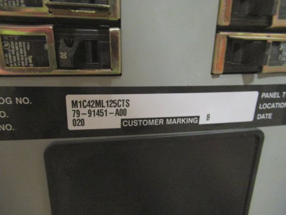 Murray M1C42ML125CTS 125 Amp Main Lug 120/208 Volt 3PH 4W Panelboard ...