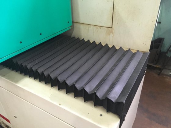 整改罗莎铁线 12.6