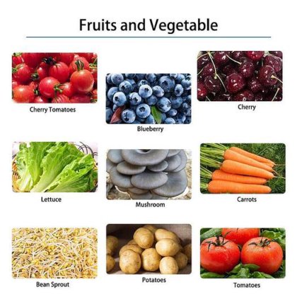 全自动樱桃番茄蓝莓新鲜冷冻蔬菜包装机