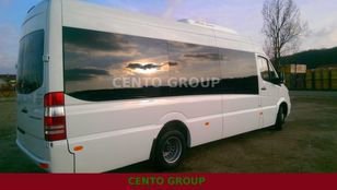 2017 MERCEDES-BENZ Sprinter 516 20