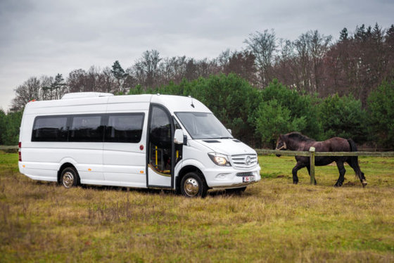 2016 MERCEDES-BENZ 516 Sprinter Touring