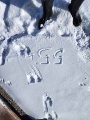 2000 40ft Edificio de oficinas