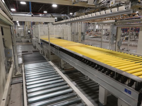 STEFANI + MAHROS - EVOLUTION