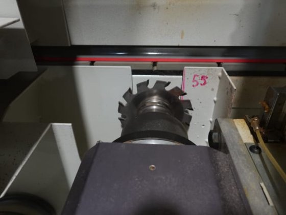 STEFANI + MAHROS - EVOLUTION